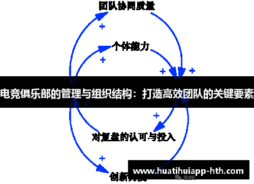 电竞俱乐部的管理与组织结构：打造高效团队的关键要素