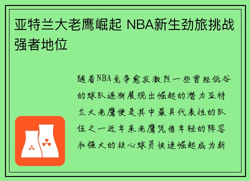 亚特兰大老鹰崛起 NBA新生劲旅挑战强者地位